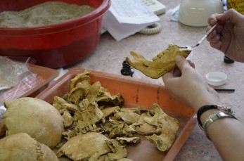 Lepení antropologického materiálu v laboratoři. Foto V. Mikešová