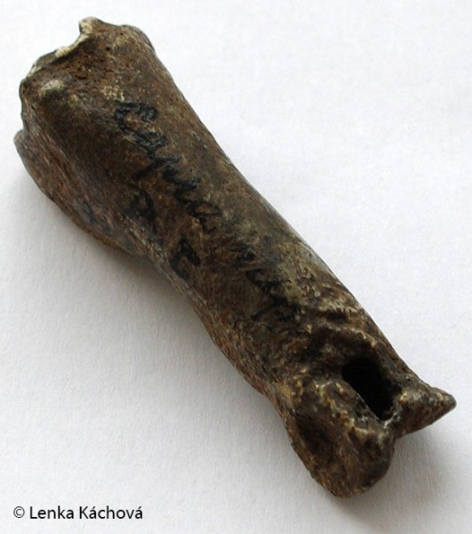 Kostěná píšťalka