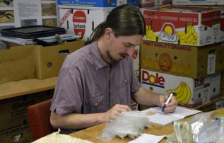 Archeolog musí všechny nálezy z výzkumu důkladně projít.